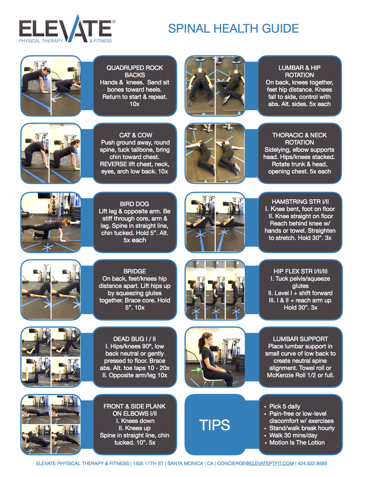 Exercises in Physical Therapy for Lower Back Pain