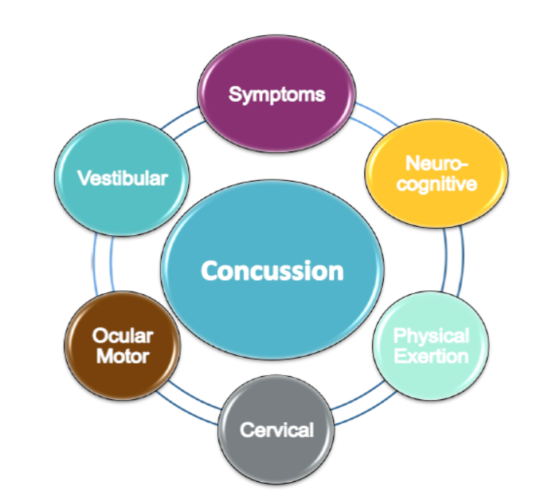 concussions-part-3-concussion-examination-elevate-physical-therapy